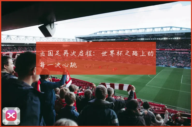 当国足再次启程:世界杯之路上的每一次心跳