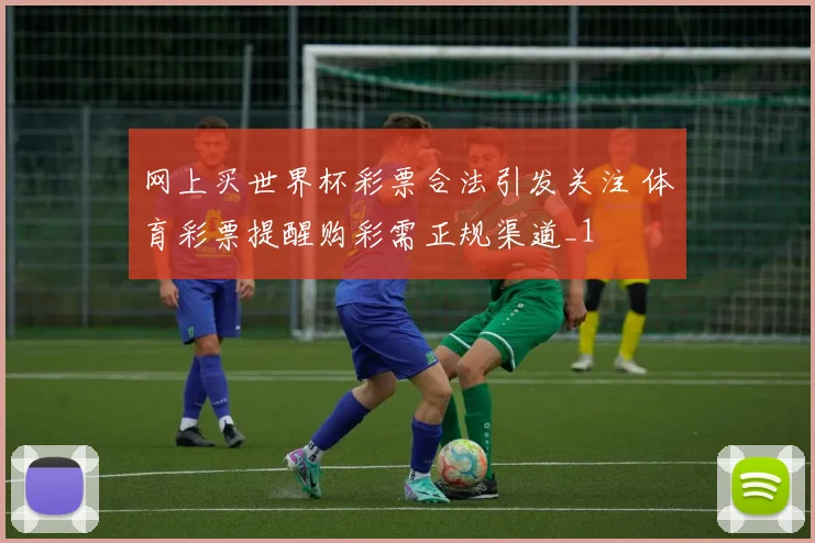 网上买世界杯彩票合法引发关注 体育彩票提醒购彩需正规渠道_1