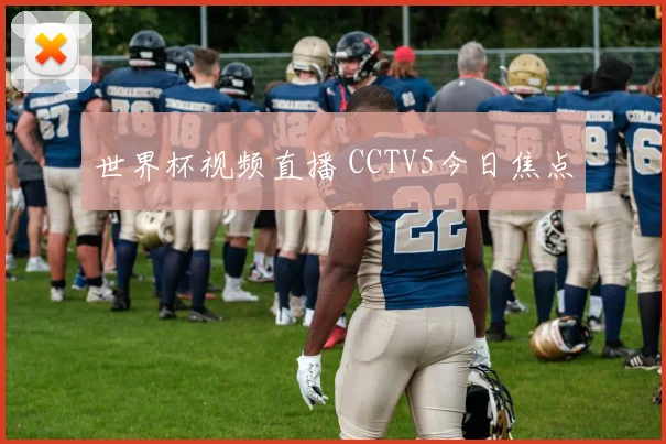 世界杯视频直播 CCTV5今日焦点