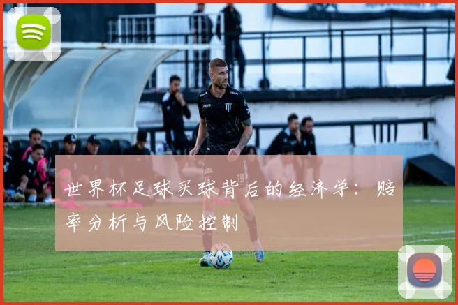 世界杯足球买球背后的经济学:赔率分析与风险控制