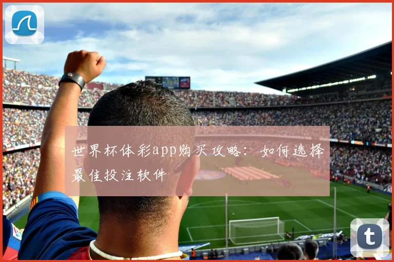 世界杯体彩app购买攻略：如何选择最佳投注软件