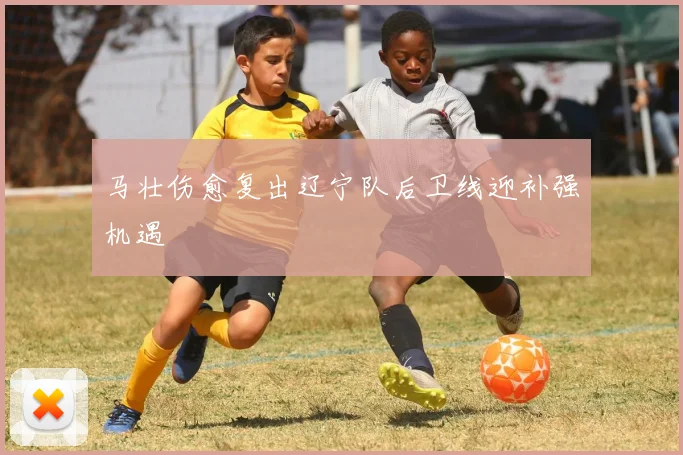 马壮伤愈复出辽宁队后卫线迎补强机遇