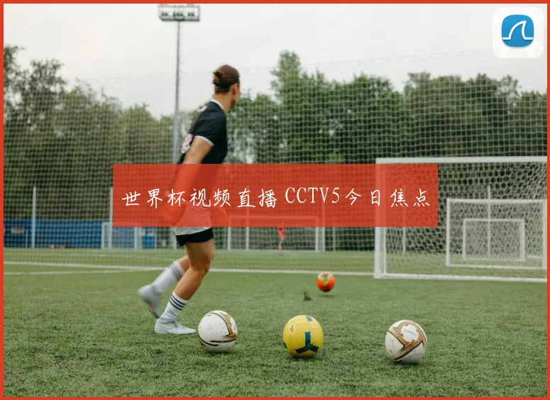 世界杯视频直播 CCTV5今日焦点