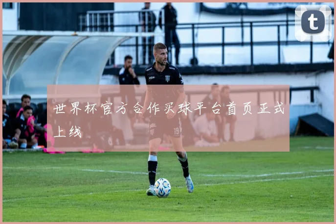 世界杯官方合作买球平台首页正式上线