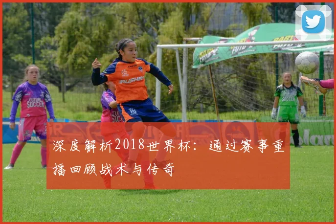 深度解析2018世界杯:通过赛事重播回顾战术与传奇