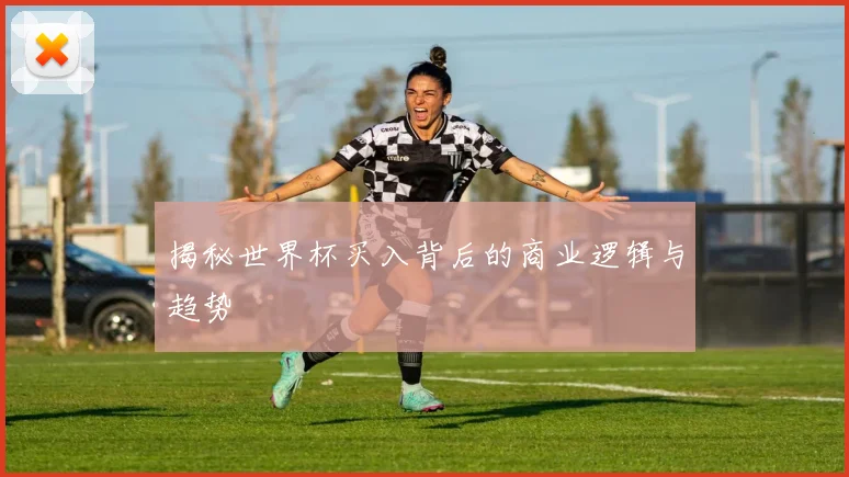 揭秘世界杯买入背后的商业逻辑与趋势