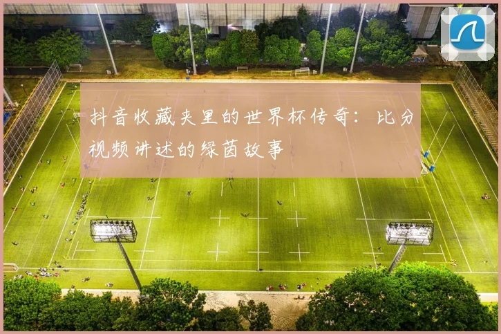 抖音收藏夹里的世界杯传奇:比分视频讲述的绿茵故事