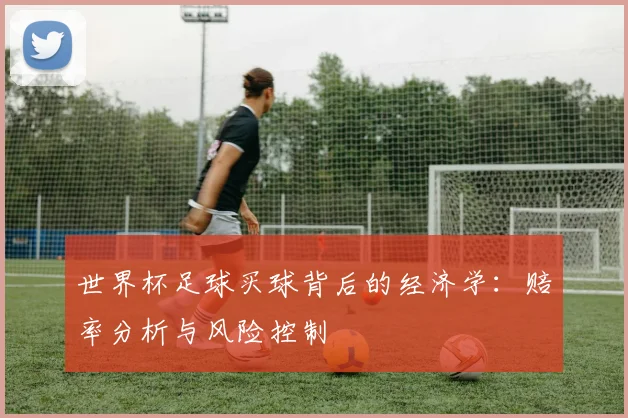 世界杯足球买球背后的经济学:赔率分析与风险控制