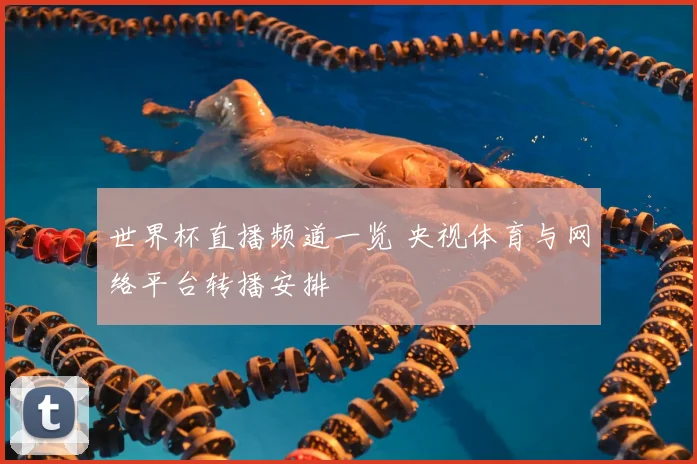 世界杯直播频道一览 央视体育与网络平台转播安排