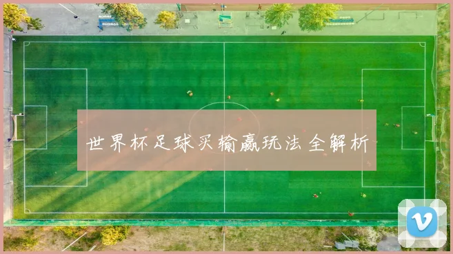 世界杯足球买输赢玩法全解析