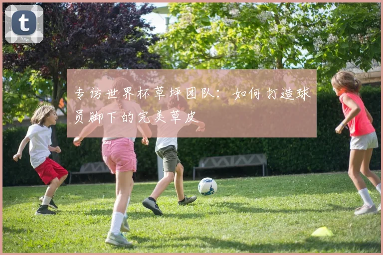 专访世界杯草坪团队:如何打造球员脚下的完美草皮