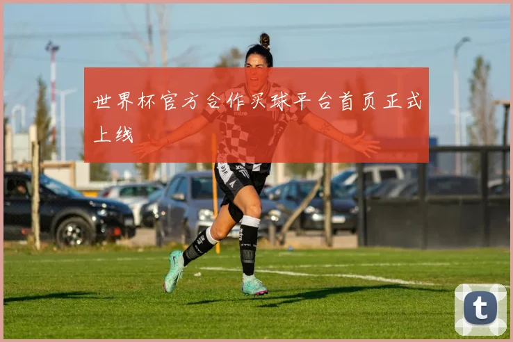 世界杯官方合作买球平台首页正式上线